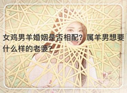 女鸡男羊婚姻是否相配?属羊男想要什么样的老婆?