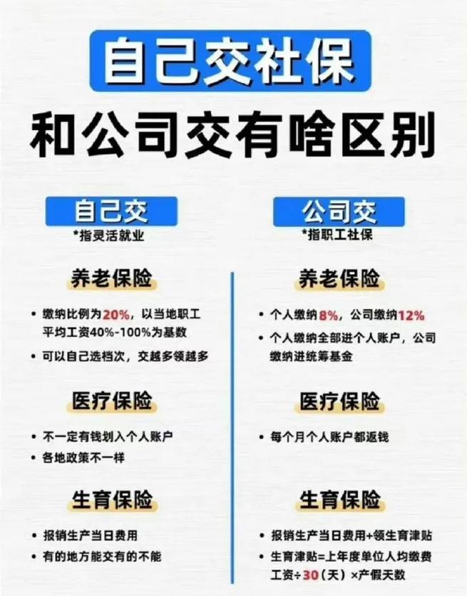 一图看懂社保卡的功能您了解多少(社保是啥)