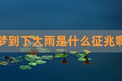 梦到下大雨是什么征兆啊|梦见发洪水什么预兆_梦见下大雨是什么意思