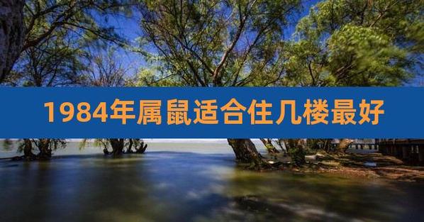 和讨厌的楼层数字,那么,在十二生肖中,84年  属鼠  金命适合住几楼呢?