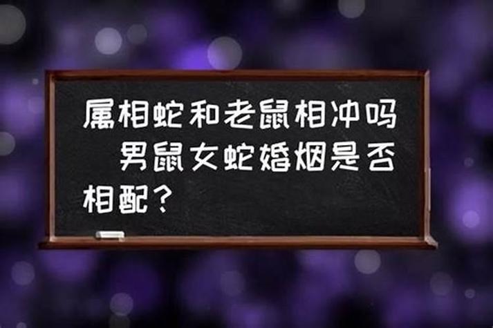 属鼠跟属蛇的婚姻相配吗