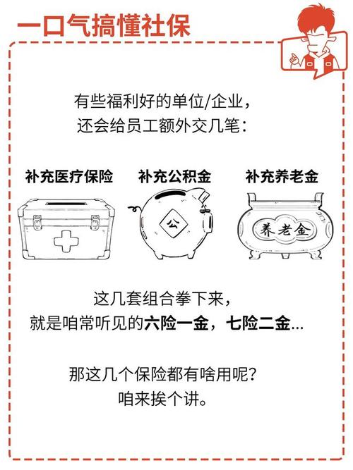 一口气搞懂社保!再也不怕白交钱