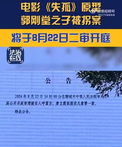 表达了他的不满,认为对于拐卖多个孩子的呼富吉,仅判死缓是不够的,他