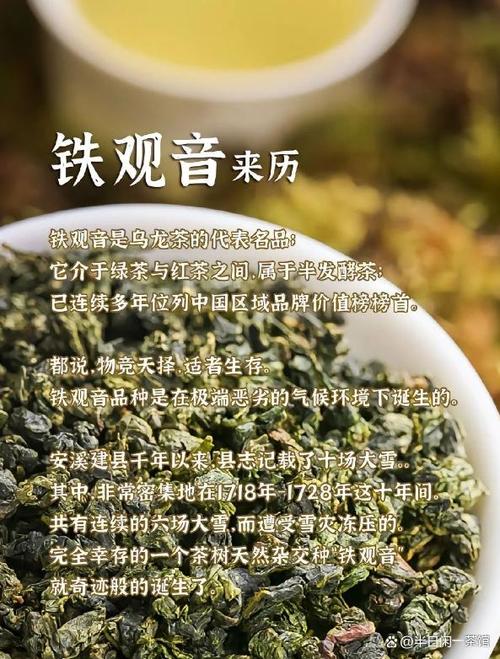 铁观音茶的功效 铁观音的使用禁忌